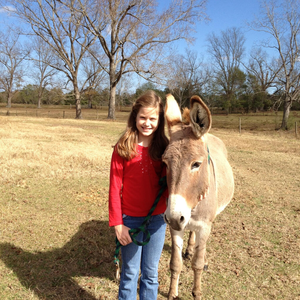 Con el Burro (Nov 2011)